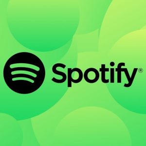 Spotify  (INDIVIDUAL)